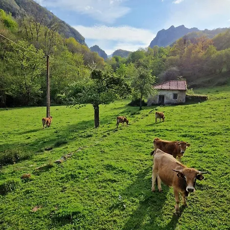 Chalet La Molnera