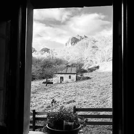 Chalet La Molnera La Molina (Asturias)