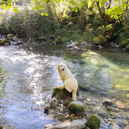 Chalet La Molnera La Molina (Asturias)