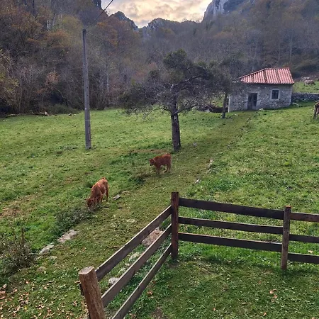 La Molnera Chalet *